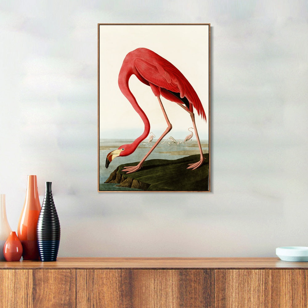 INVIN ART Framed Canvas American Flamingo by John James Audubon Wall Art Living Room Home Office Decorations
