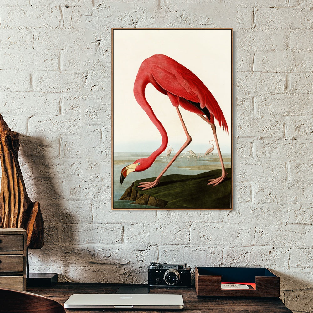 INVIN ART Framed Canvas American Flamingo by John James Audubon Wall Art Living Room Home Office Decorations