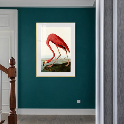 INVIN ART Metal Framed Canvas American Flamingo by John James Audubon Wall Art Living Room Home Office Decorations