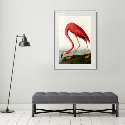 INVIN ART Metal Framed Canvas American Flamingo by John James Audubon Wall Art Living Room Home Office Decorations