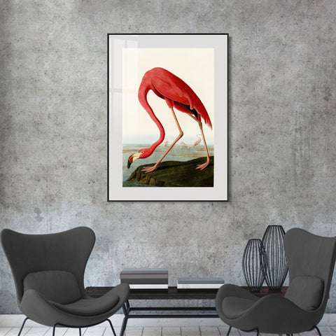 INVIN ART Metal Framed Canvas American Flamingo by John James Audubon Wall Art Living Room Home Office Decorations