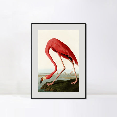 INVIN ART Metal Framed Canvas American Flamingo by John James Audubon Wall Art Living Room Home Office Decorations
