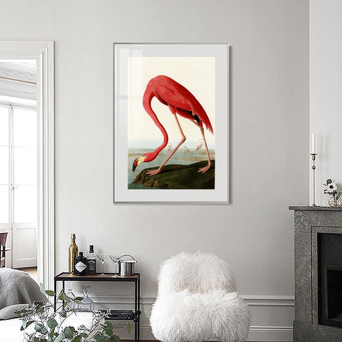 INVIN ART Metal Framed Canvas American Flamingo by John James Audubon Wall Art Living Room Home Office Decorations