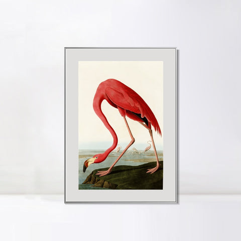 INVIN ART Metal Framed Canvas American Flamingo by John James Audubon Wall Art Living Room Home Office Decorations