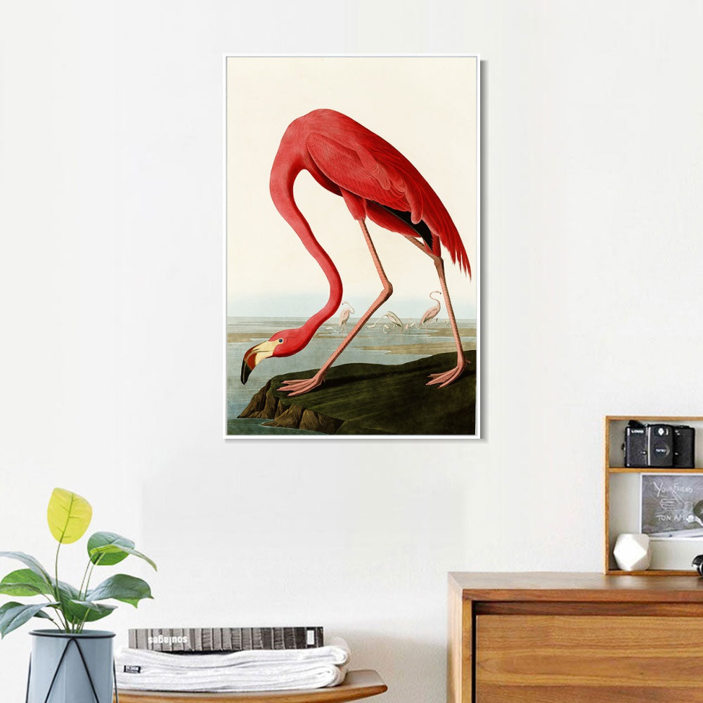 INVIN ART Framed Canvas American Flamingo by John James Audubon Wall Art Living Room Home Office Decorations