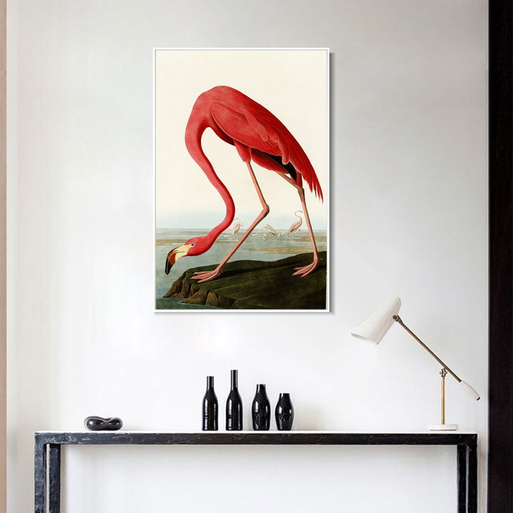 INVIN ART Framed Canvas American Flamingo by John James Audubon Wall Art Living Room Home Office Decorations