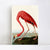 INVIN ART Framed Canvas American Flamingo by John James Audubon Wall Art Living Room Home Office Decorations