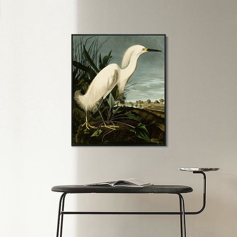 INVIN ART Framed Canvas Snowy Heron or White Egret by John James Audubon Wall Art Living Room Home Office Decorations