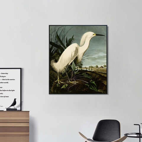 INVIN ART Framed Canvas Snowy Heron or White Egret by John James Audubon Wall Art Living Room Home Office Decorations