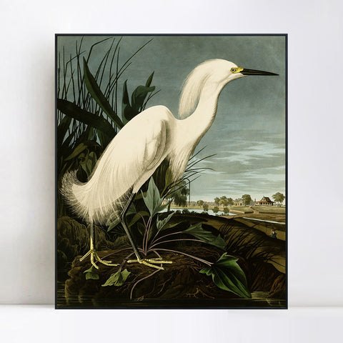 INVIN ART Framed Canvas Snowy Heron or White Egret by John James Audubon Wall Art Living Room Home Office Decorations