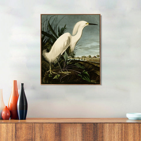 INVIN ART Framed Canvas Snowy Heron or White Egret by John James Audubon Wall Art Living Room Home Office Decorations