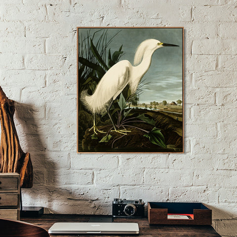 INVIN ART Framed Canvas Snowy Heron or White Egret by John James Audubon Wall Art Living Room Home Office Decorations
