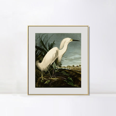 INVIN ART Metal Framed Canvas Snowy Heron or White Egret by John James Audubon Wall Art Living Room Home Office Decorations