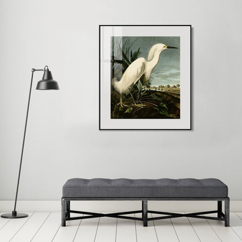 INVIN ART Metal Framed Canvas Snowy Heron or White Egret by John James Audubon Wall Art Living Room Home Office Decorations