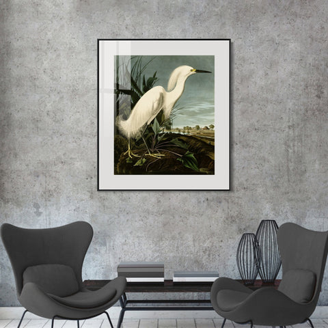 INVIN ART Metal Framed Canvas Snowy Heron or White Egret by John James Audubon Wall Art Living Room Home Office Decorations
