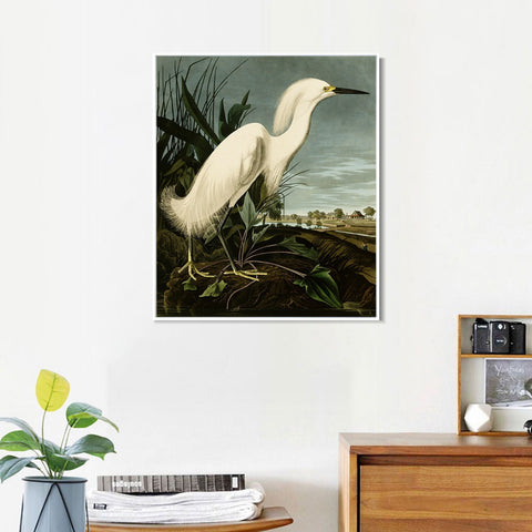 INVIN ART Framed Canvas Snowy Heron or White Egret by John James Audubon Wall Art Living Room Home Office Decorations