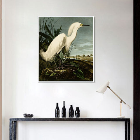 INVIN ART Framed Canvas Snowy Heron or White Egret by John James Audubon Wall Art Living Room Home Office Decorations