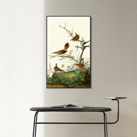 INVIN ART Framed Canvas Series#136 by John James Audubon Wall Art Living Room Home Office Decorations