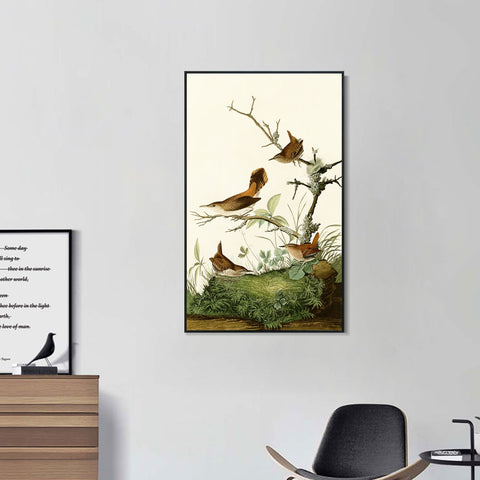 INVIN ART Framed Canvas Series#136 by John James Audubon Wall Art Living Room Home Office Decorations