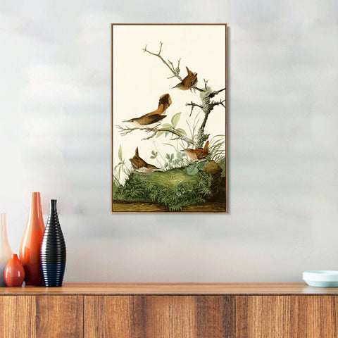 INVIN ART Framed Canvas Series#136 by John James Audubon Wall Art Living Room Home Office Decorations
