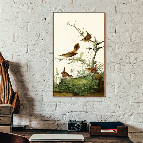 INVIN ART Framed Canvas Series#136 by John James Audubon Wall Art Living Room Home Office Decorations