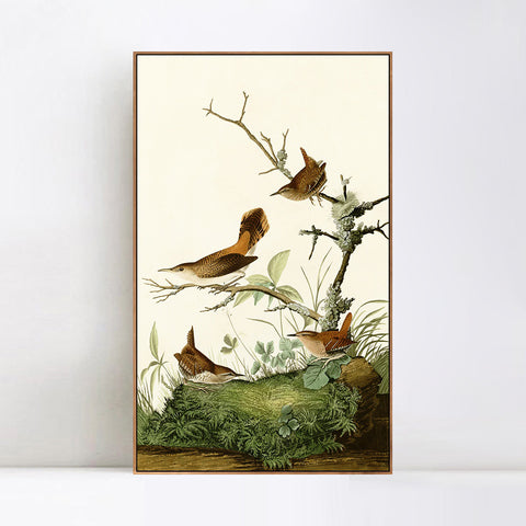 INVIN ART Framed Canvas Series#136 by John James Audubon Wall Art Living Room Home Office Decorations