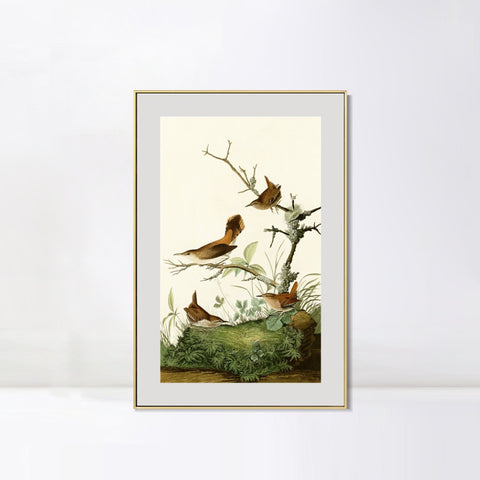 INVIN ART Metal Framed Canvas Series#136 by John James Audubon Wall Art Living Room Home Office Decorations