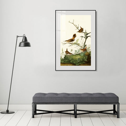 INVIN ART Metal Framed Canvas Series#136 by John James Audubon Wall Art Living Room Home Office Decorations
