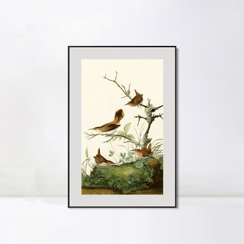 INVIN ART Metal Framed Canvas Series#136 by John James Audubon Wall Art Living Room Home Office Decorations
