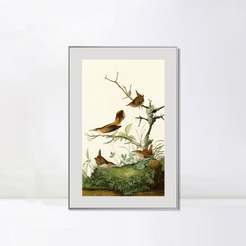 INVIN ART Metal Framed Canvas Series#136 by John James Audubon Wall Art Living Room Home Office Decorations