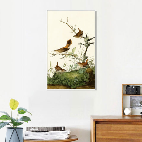 INVIN ART Framed Canvas Series#136 by John James Audubon Wall Art Living Room Home Office Decorations