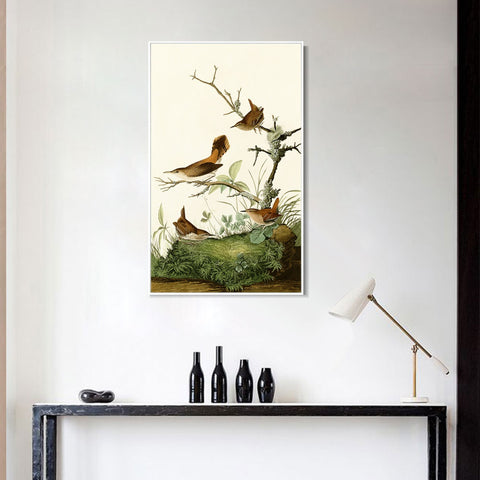 INVIN ART Framed Canvas Series#136 by John James Audubon Wall Art Living Room Home Office Decorations
