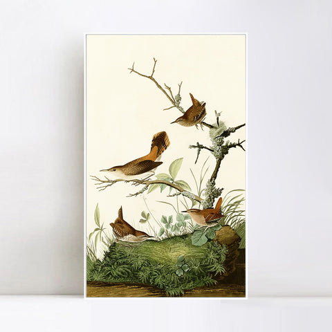 INVIN ART Framed Canvas Series#136 by John James Audubon Wall Art Living Room Home Office Decorations