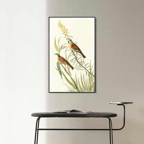INVIN ART Framed Canvas Series#137 by John James Audubon Wall Art Living Room Home Office Decorations