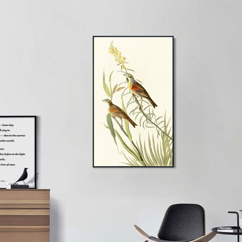 INVIN ART Framed Canvas Series#137 by John James Audubon Wall Art Living Room Home Office Decorations