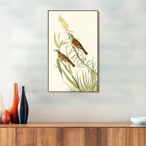 INVIN ART Framed Canvas Series#137 by John James Audubon Wall Art Living Room Home Office Decorations