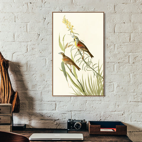 INVIN ART Framed Canvas Series#137 by John James Audubon Wall Art Living Room Home Office Decorations