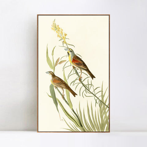 INVIN ART Framed Canvas Series#137 by John James Audubon Wall Art Living Room Home Office Decorations