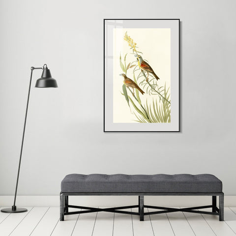 INVIN ART Metal Framed Canvas Series#137 by John James Audubon Wall Art Living Room Home Office Decorations