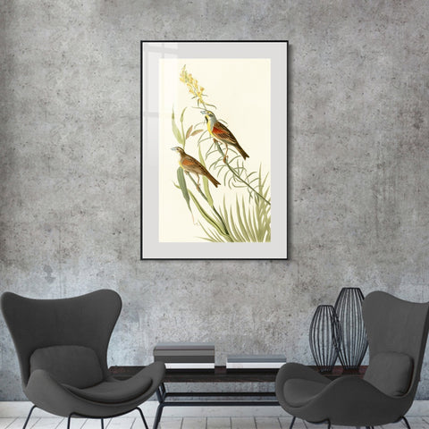 INVIN ART Metal Framed Canvas Series#137 by John James Audubon Wall Art Living Room Home Office Decorations