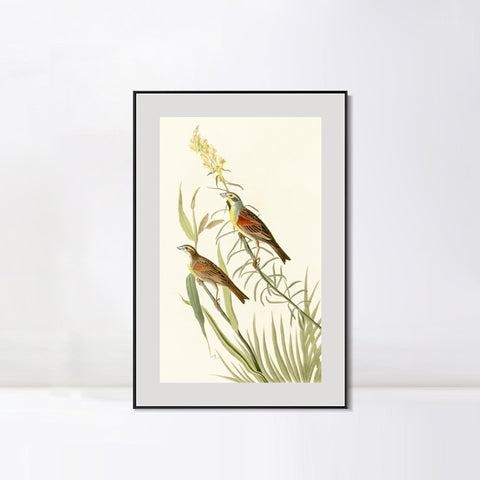 INVIN ART Metal Framed Canvas Series#137 by John James Audubon Wall Art Living Room Home Office Decorations