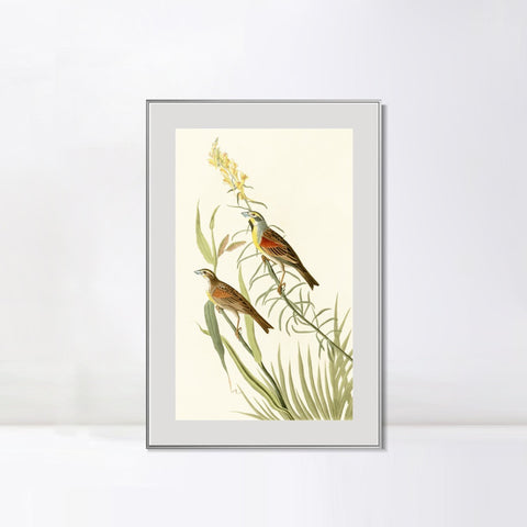 INVIN ART Metal Framed Canvas Series#137 by John James Audubon Wall Art Living Room Home Office Decorations
