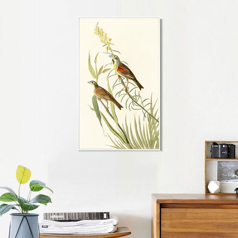 INVIN ART Framed Canvas Series#137 by John James Audubon Wall Art Living Room Home Office Decorations