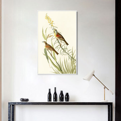 INVIN ART Framed Canvas Series#137 by John James Audubon Wall Art Living Room Home Office Decorations
