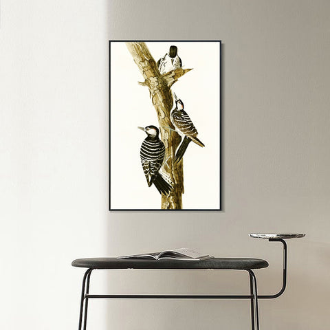 INVIN ART Framed Canvas Series#138 by John James Audubon Wall Art Living Room Home Office Decorations