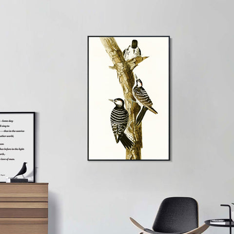 INVIN ART Framed Canvas Series#138 by John James Audubon Wall Art Living Room Home Office Decorations