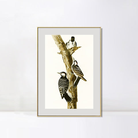 INVIN ART Metal Framed Canvas Series#138 by John James Audubon Wall Art Living Room Home Office Decorations