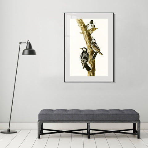 INVIN ART Metal Framed Canvas Series#138 by John James Audubon Wall Art Living Room Home Office Decorations