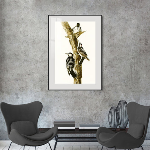 INVIN ART Metal Framed Canvas Series#138 by John James Audubon Wall Art Living Room Home Office Decorations