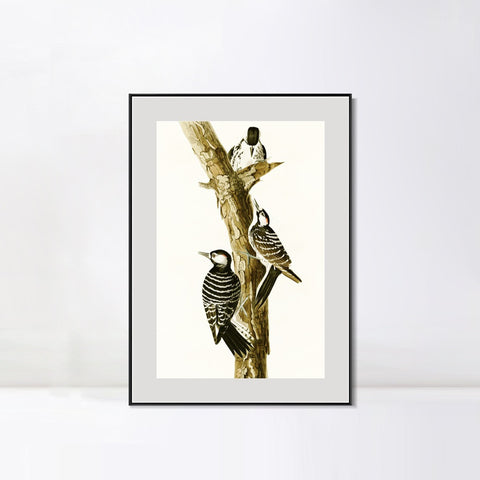 INVIN ART Metal Framed Canvas Series#138 by John James Audubon Wall Art Living Room Home Office Decorations